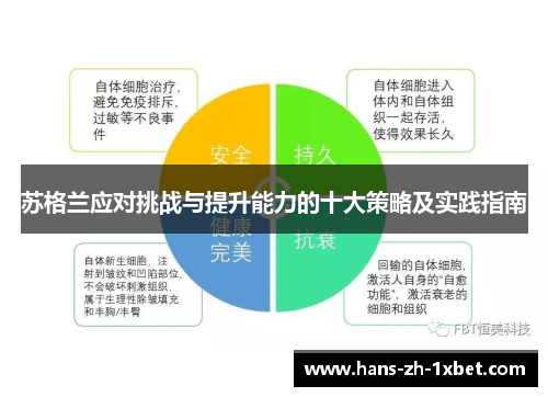 苏格兰应对挑战与提升能力的十大策略及实践指南
