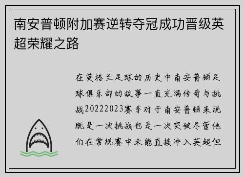 南安普顿附加赛逆转夺冠成功晋级英超荣耀之路